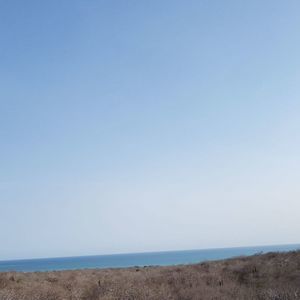 Meet your Posher, Jose francisco